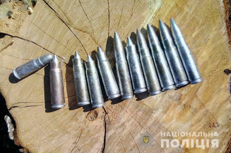У Новобузькому районі поліцейські вилучили у місцевого мешканця близько півсотні боєприпасів різного калібру