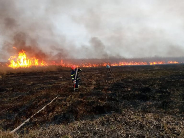 ДСНС закликає громадян не провокувати пожежі у природних екосистемах!