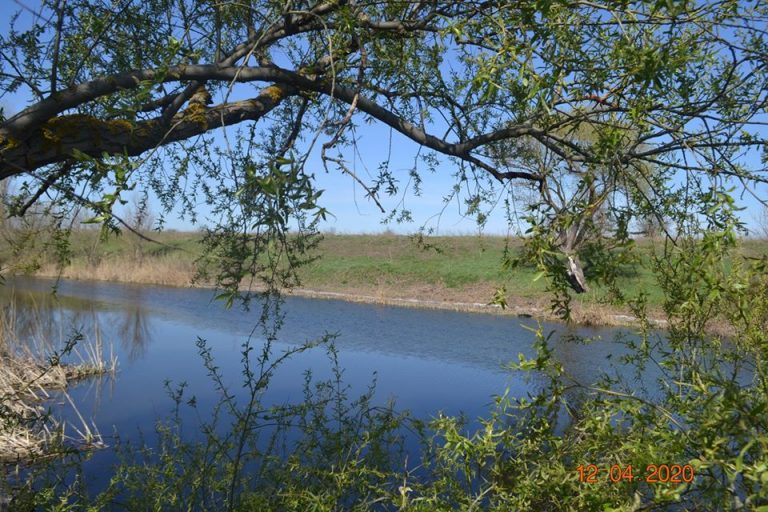 Весна така… вона не знає смутку