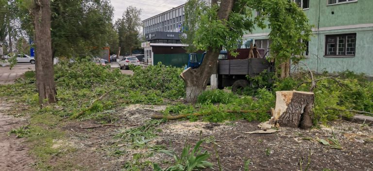 Сильним вітром в центрі Нового Бугу повалило дерева